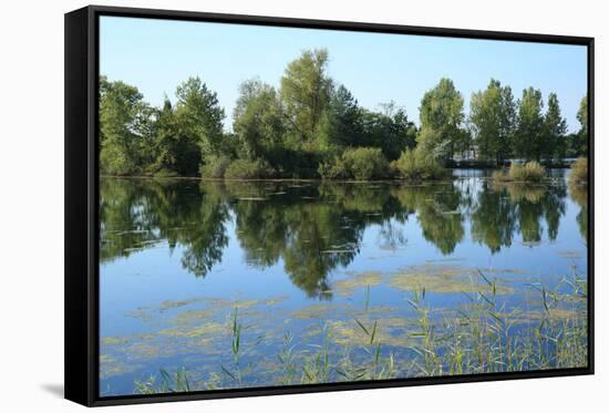 Meadow Landscape in Autumn-Werner Layer-Framed Stretched Canvas