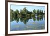 Meadow Landscape in Autumn-Werner Layer-Framed Photographic Print