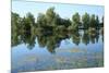 Meadow Landscape in Autumn-Werner Layer-Mounted Photographic Print