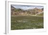 Meadow Landscape in Landmannalaugar, Iceland-Gavriel Jecan-Framed Photographic Print