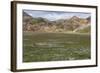 Meadow Landscape in Landmannalaugar, Iceland-Gavriel Jecan-Framed Photographic Print