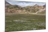 Meadow Landscape in Landmannalaugar, Iceland-Gavriel Jecan-Mounted Photographic Print