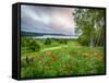 Meadow Landscape, New Brunswick, Canada-Ellen Anon-Framed Stretched Canvas