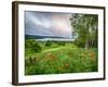 Meadow Landscape, New Brunswick, Canada-Ellen Anon-Framed Photographic Print