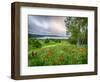 Meadow Landscape, New Brunswick, Canada-Ellen Anon-Framed Photographic Print