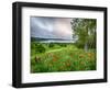 Meadow Landscape, New Brunswick, Canada-Ellen Anon-Framed Photographic Print
