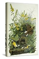 Meadow Lark, 1832-John James Audubon-Stretched Canvas