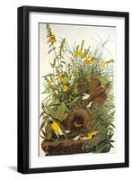 Meadow Lark-John James Audubon-Framed Art Print