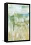 Meadow Memory I-Lisa Choate-Framed Stretched Canvas