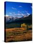 Meadow Near Molas Divide-James Randklev-Stretched Canvas