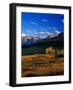 Meadow Near Molas Divide-James Randklev-Framed Photographic Print