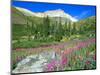 Meadow of Fireweed in Mt. Sneffels Wilderness Area, Colorado, USA-Julie Eggers-Mounted Photographic Print
