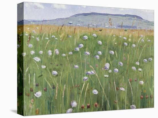 Meadow of Flowers, about 1901-Ferdinand Hodler-Stretched Canvas