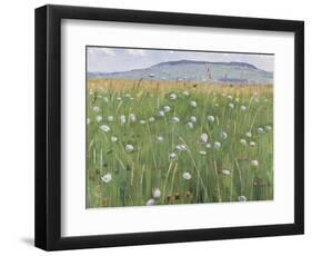 Meadow of Flowers, about 1901-Ferdinand Hodler-Framed Giclee Print