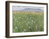 Meadow of Flowers, about 1901-Ferdinand Hodler-Framed Giclee Print