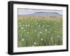 Meadow of Flowers, about 1901-Ferdinand Hodler-Framed Giclee Print