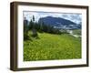 Meadow of Glacier Lilies, with the High Rocky Mountains Behind, Glacier National Park, Montana, USA-Waltham Tony-Framed Photographic Print