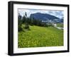 Meadow of Glacier Lilies, with the High Rocky Mountains Behind, Glacier National Park, Montana, USA-Waltham Tony-Framed Photographic Print