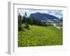 Meadow of Glacier Lilies, with the High Rocky Mountains Behind, Glacier National Park, Montana, USA-Waltham Tony-Framed Photographic Print