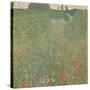 Meadow of Poppies, 1907-Gustav Klimt-Stretched Canvas