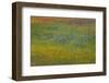 Meadow of red Texas Paintbrush and Purple-head Sneezeweed and bluebonnets, Texas hill country-Adam Jones-Framed Photographic Print