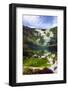 Meadow of Seaweeds in a Shallow Channel Between Islands in the Cairns of Coll, Hebrides, Scotland-Alex Mustard-Framed Photographic Print