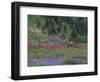 Meadow of Subalpine Lupine and Magenta Paintbrush, Mt. Rainier National Park, Washington, USA-Jamie & Judy Wild-Framed Photographic Print