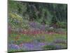 Meadow of Subalpine Lupine and Magenta Paintbrush, Mt. Rainier National Park, Washington, USA-Jamie & Judy Wild-Mounted Photographic Print