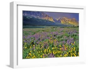 Meadow of Wildflowers in the Many Glacier Valley of Glacier National Park, Montana, USA-Chuck Haney-Framed Photographic Print