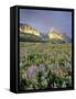 Meadow of Wildflowers Near Lake Sherbourne in Glacier National Park, Montana, USA-Chuck Haney-Framed Stretched Canvas