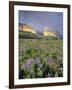 Meadow of Wildflowers Near Lake Sherbourne in Glacier National Park, Montana, USA-Chuck Haney-Framed Photographic Print