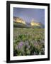 Meadow of Wildflowers Near Lake Sherbourne in Glacier National Park, Montana, USA-Chuck Haney-Framed Photographic Print