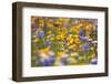 Meadow of Wildflowers-Craig Tuttle-Framed Photographic Print