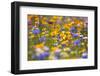 Meadow of Wildflowers-Craig Tuttle-Framed Photographic Print
