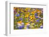 Meadow of Wildflowers-Craig Tuttle-Framed Photographic Print