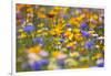 Meadow of Wildflowers-Craig Tuttle-Framed Photographic Print