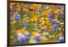 Meadow of Wildflowers-Craig Tuttle-Framed Photographic Print