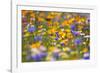 Meadow of Wildflowers-Craig Tuttle-Framed Photographic Print