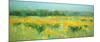 Meadow - Panel-Vahe Yeremyan-Mounted Art Print