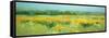 Meadow - Panel-Vahe Yeremyan-Framed Stretched Canvas