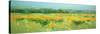 Meadow - Panel-Vahe Yeremyan-Stretched Canvas