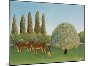 Meadow (pasture). 1910-Henri Rousseau-Mounted Giclee Print
