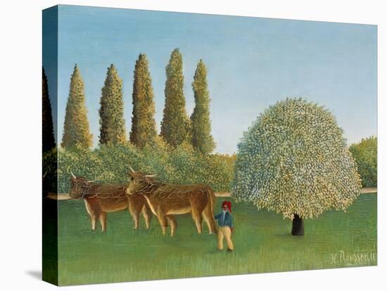 Meadow (pasture). 1910-Henri Rousseau-Stretched Canvas