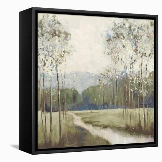 Meadow Path-null-Framed Stretched Canvas