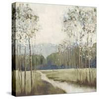 Meadow Path-null-Stretched Canvas