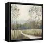 Meadow Path-null-Framed Stretched Canvas