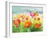 Meadow Poppies-Danhui Nai-Framed Art Print