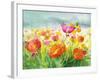 Meadow Poppies-Danhui Nai-Framed Art Print