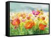 Meadow Poppies-Danhui Nai-Framed Stretched Canvas