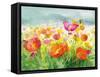 Meadow Poppies-Danhui Nai-Framed Stretched Canvas